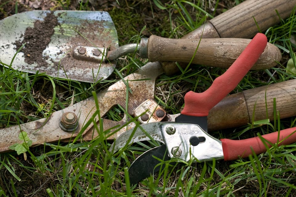 A Time to be Pruned